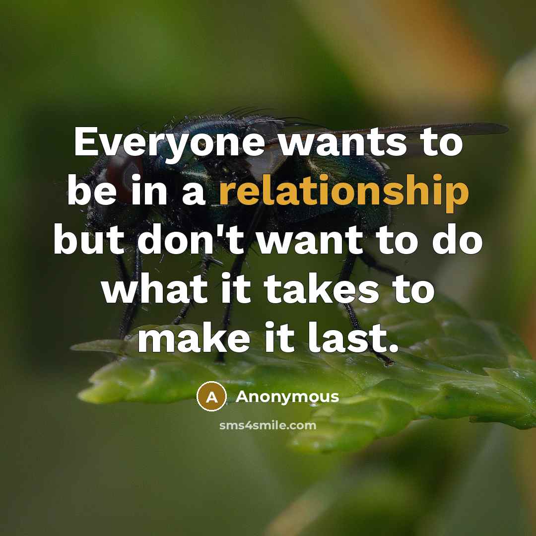“Everyone wants to be in a relationship but don't want to do what it takes to make it last.” quote by Anonymous