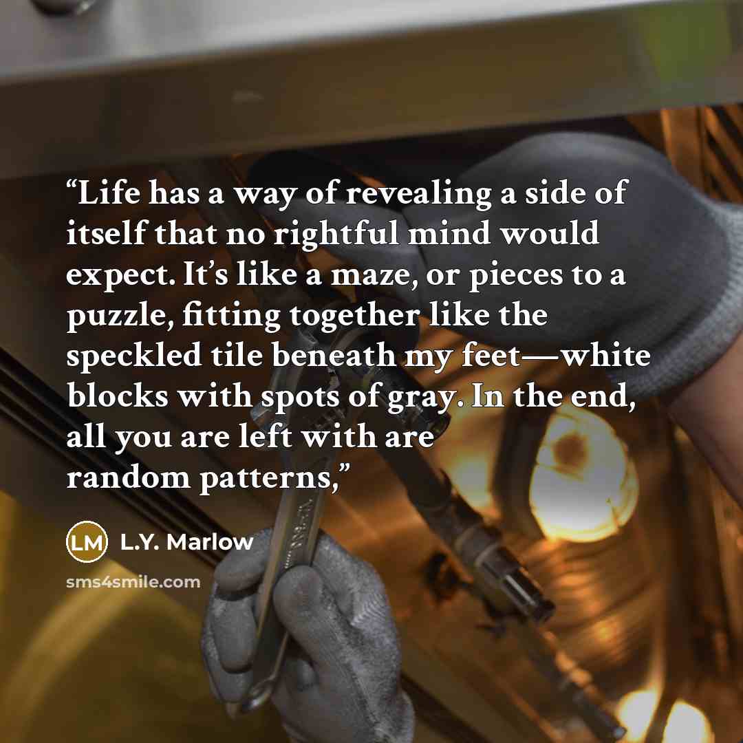 “Life has a way of revealing a side of itself that no rightful mind would expect. It’s like a maze, or pieces to a puzzle, fitting together like the speckled tile beneath my feet—white blocks with spots of gray. In the end, all you are left with are random patterns,” quote by L.Y. Marlow