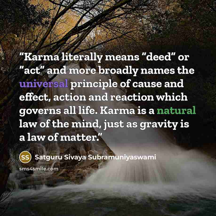 “Karma literally means “deed” or “act” and more broadly names the universal principle of cause and effect, action and reaction which governs all life. Karma is a natural law of the mind, just as gravity is a law of matter.” quote by Satguru Sivaya Subramuniyaswami