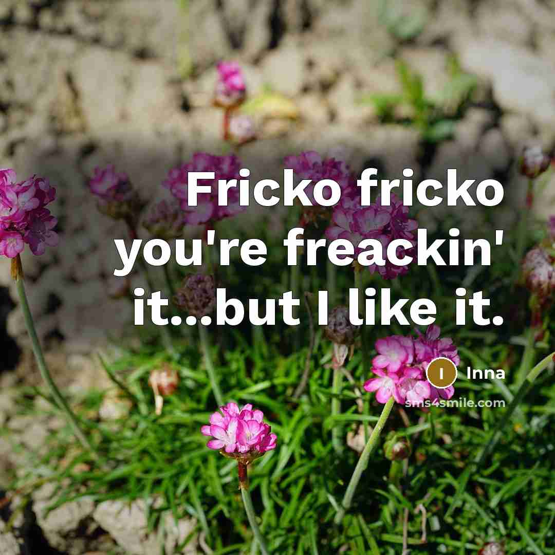“Fricko fricko you're freackin' it...but I like it.” quote by Inna