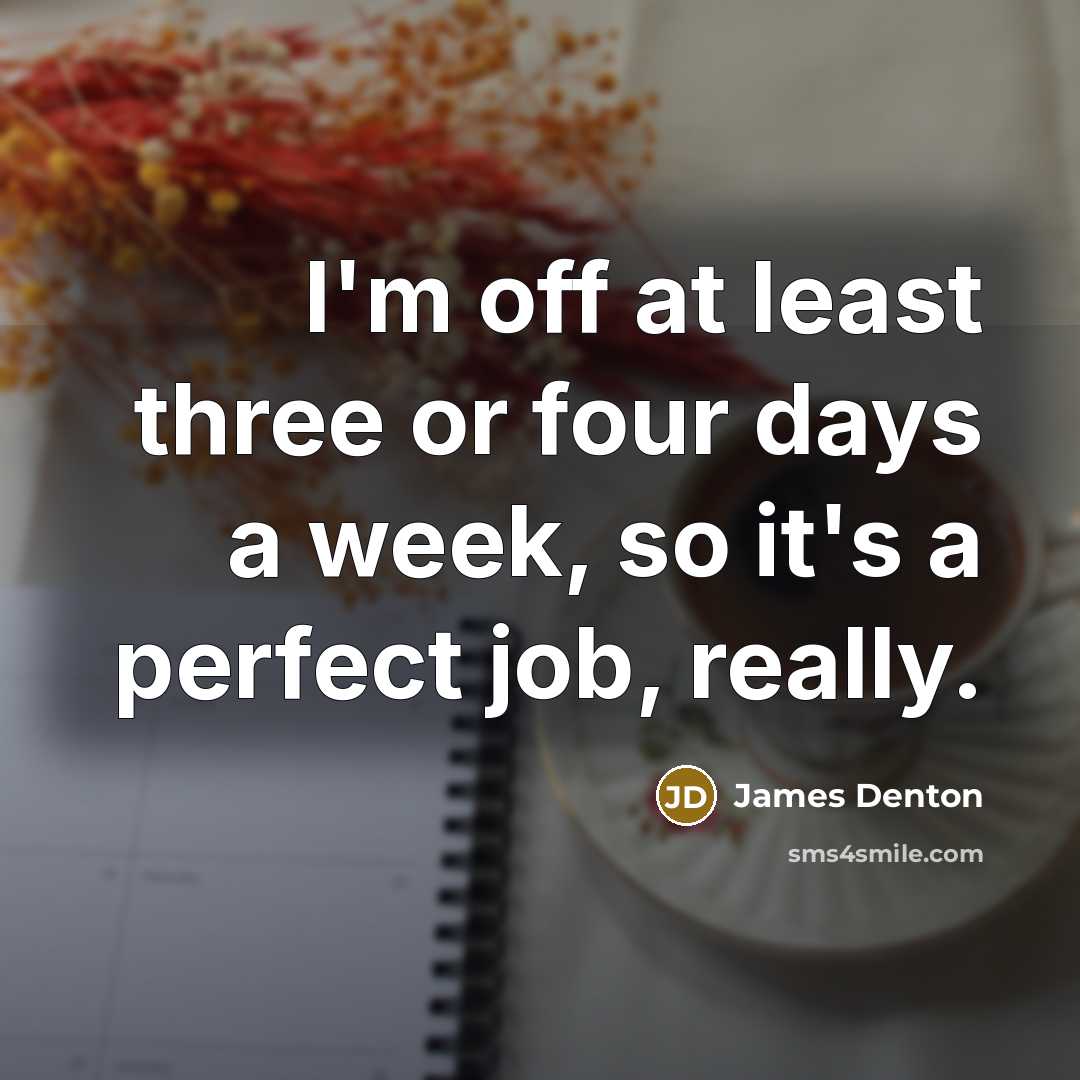 “I'm off at least three or four days a week, so it's a perfect job, really.” quote by James Denton