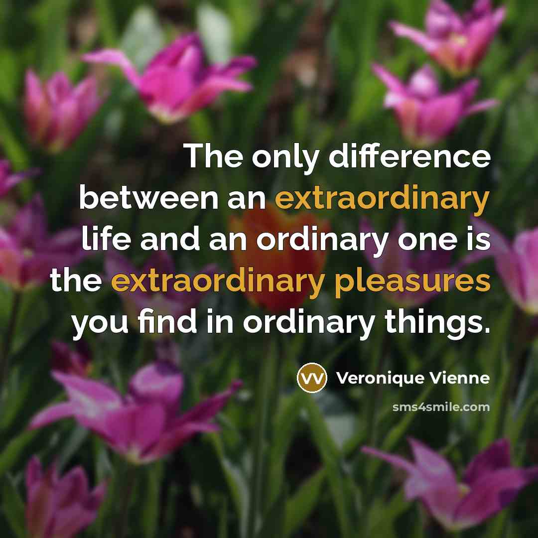 “The only difference between an extraordinary life and an ordinary one is the extraordinary pleasures you find in ordinary things.” quote by Veronique Vienne