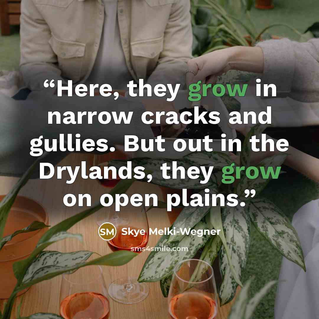 “Here, they grow in narrow cracks and gullies. But out in the Drylands, they grow on open plains.” quote by Skye Melki-Wegner