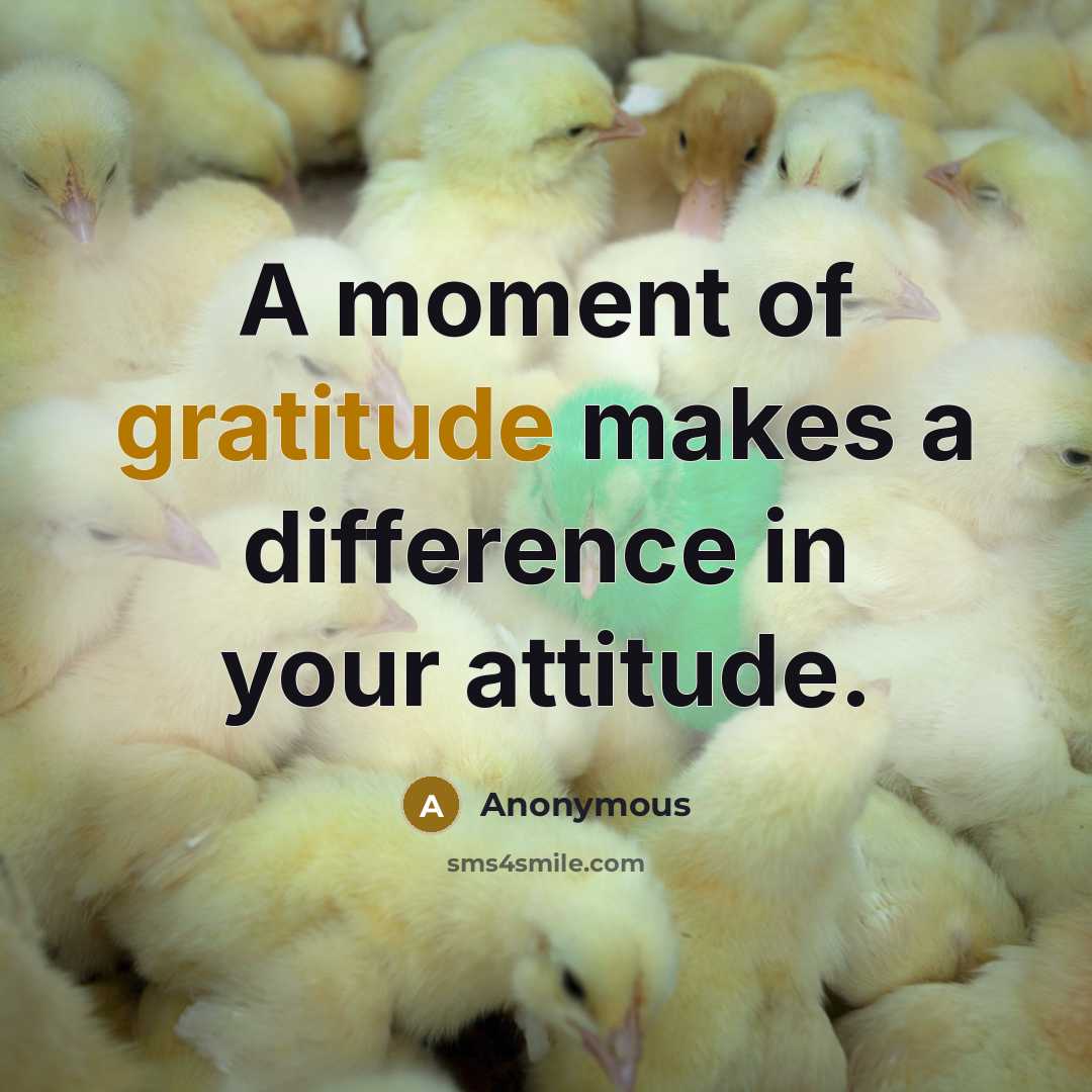“A moment of gratitude makes a difference in your attitude.” quote by Anonymous