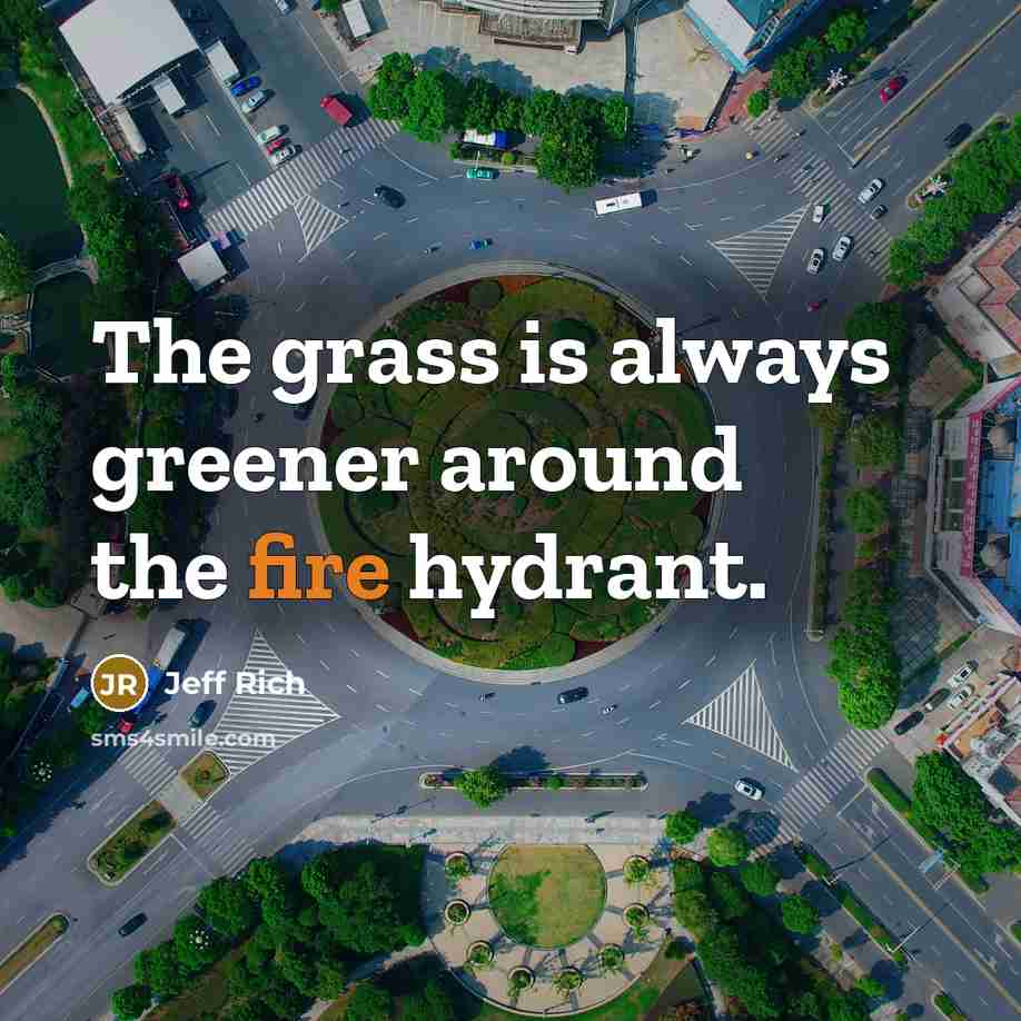 “The grass is always greener around the fire hydrant.” quote by Jeff Rich