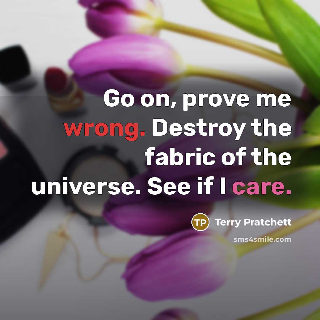 “Go on, prove me wrong. Destroy the fabric of the universe. See if I care.” quote by Terry Pratchett