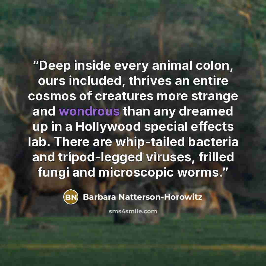 “Deep inside every animal colon, ours included, thrives an entire cosmos of creatures more strange and wondrous than any dreamed up in a Hollywood special effects lab. There are whip-tailed bacteria and tripod-legged viruses, frilled fungi and microscopic worms.” quote by Barbara Natterson-Horowitz