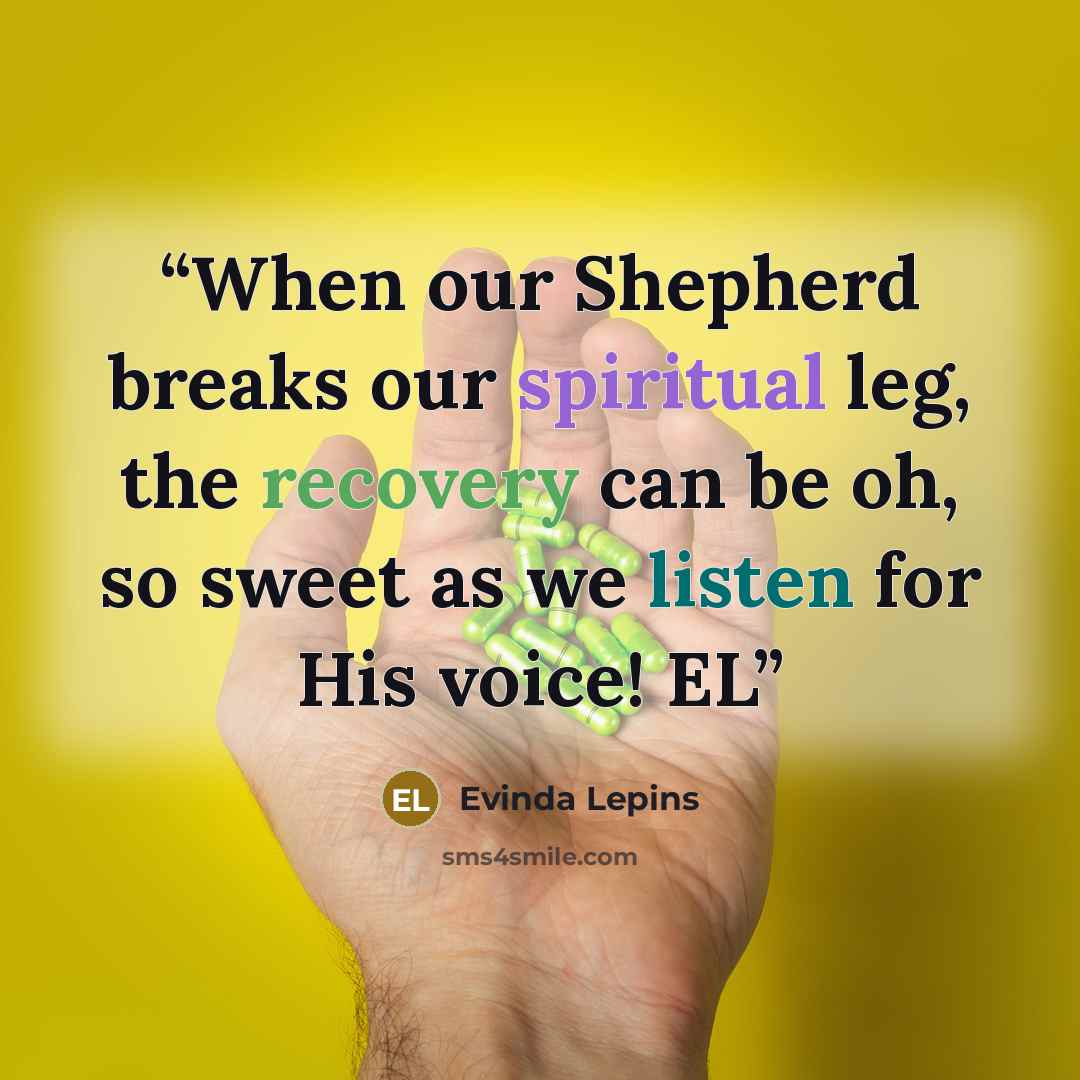 “When our Shepherd breaks our spiritual leg, the recovery can be oh, so sweet as we listen for His voice! EL” quote by Evinda Lepins