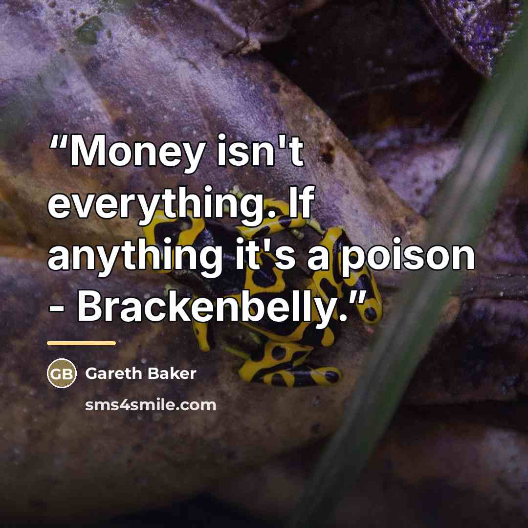 “Money isn't everything. If anything it's a poison - Brackenbelly.” quote by Gareth Baker