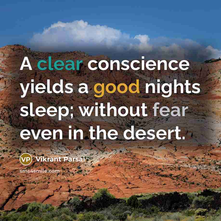 “A clear conscience yields a good nights sleep; without fear even in the desert.” quote by Vikrant Parsai