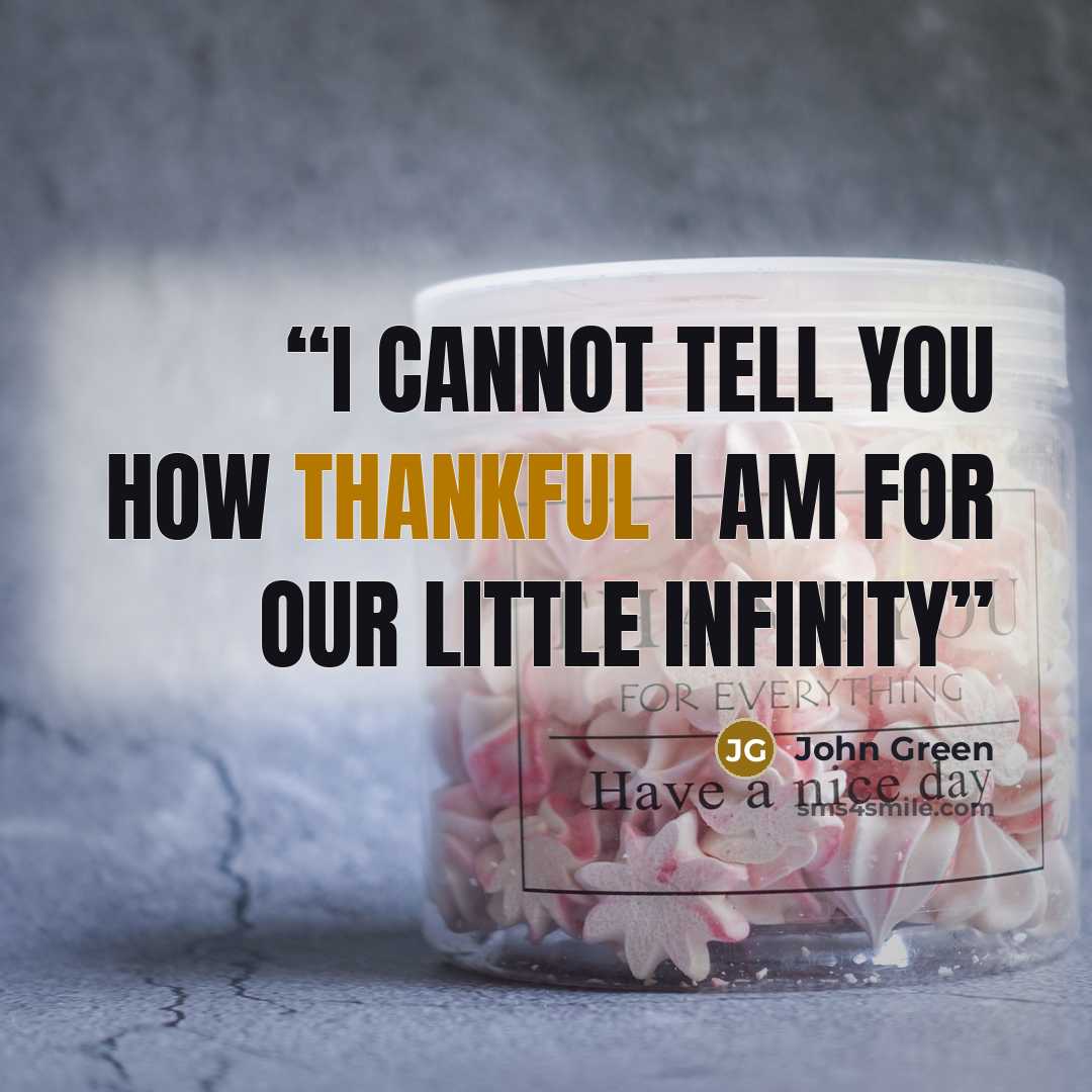 “I cannot tell you how thankful I am for our little infinity” quote by John Green