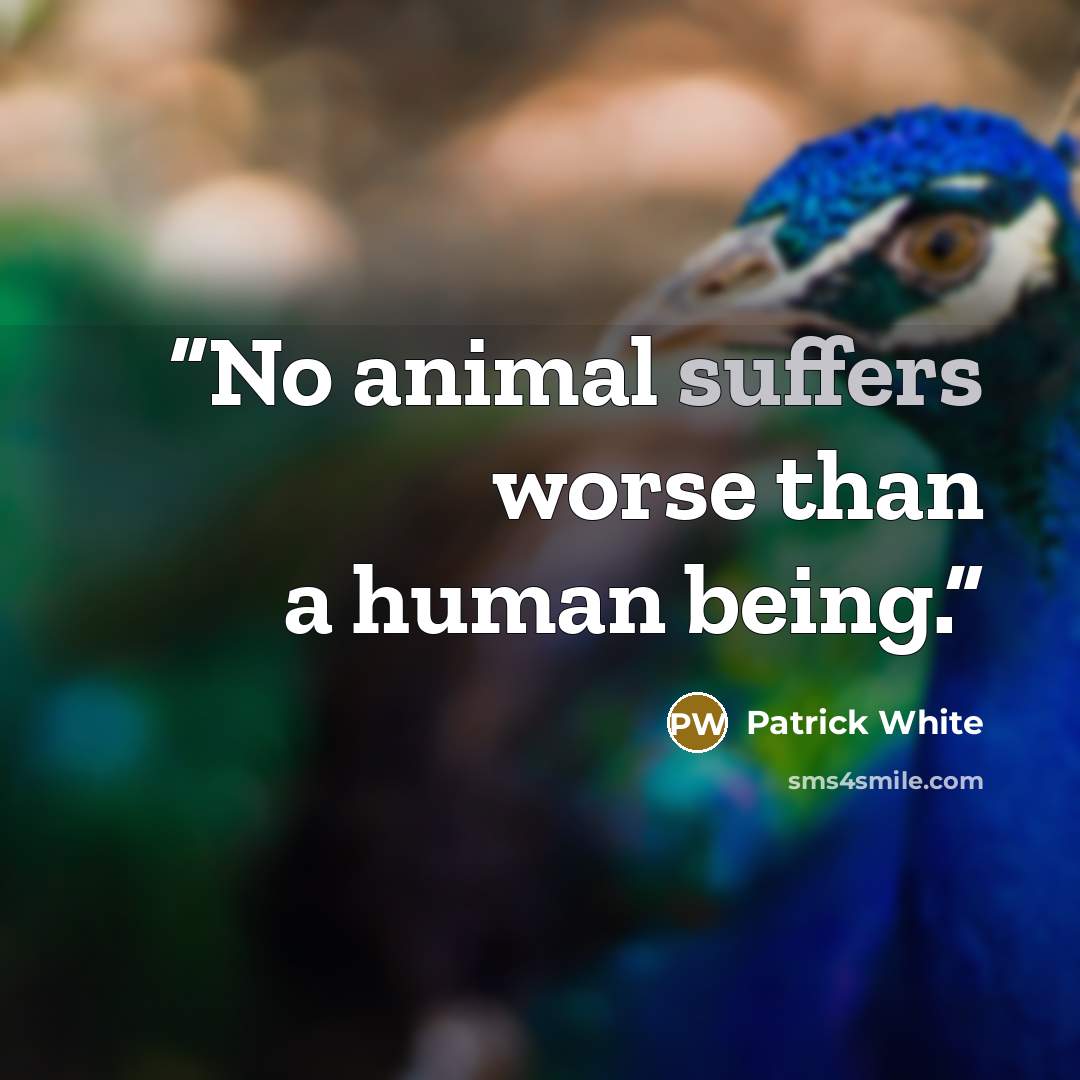 “No animal suffers worse than a human being.” quote by Patrick White