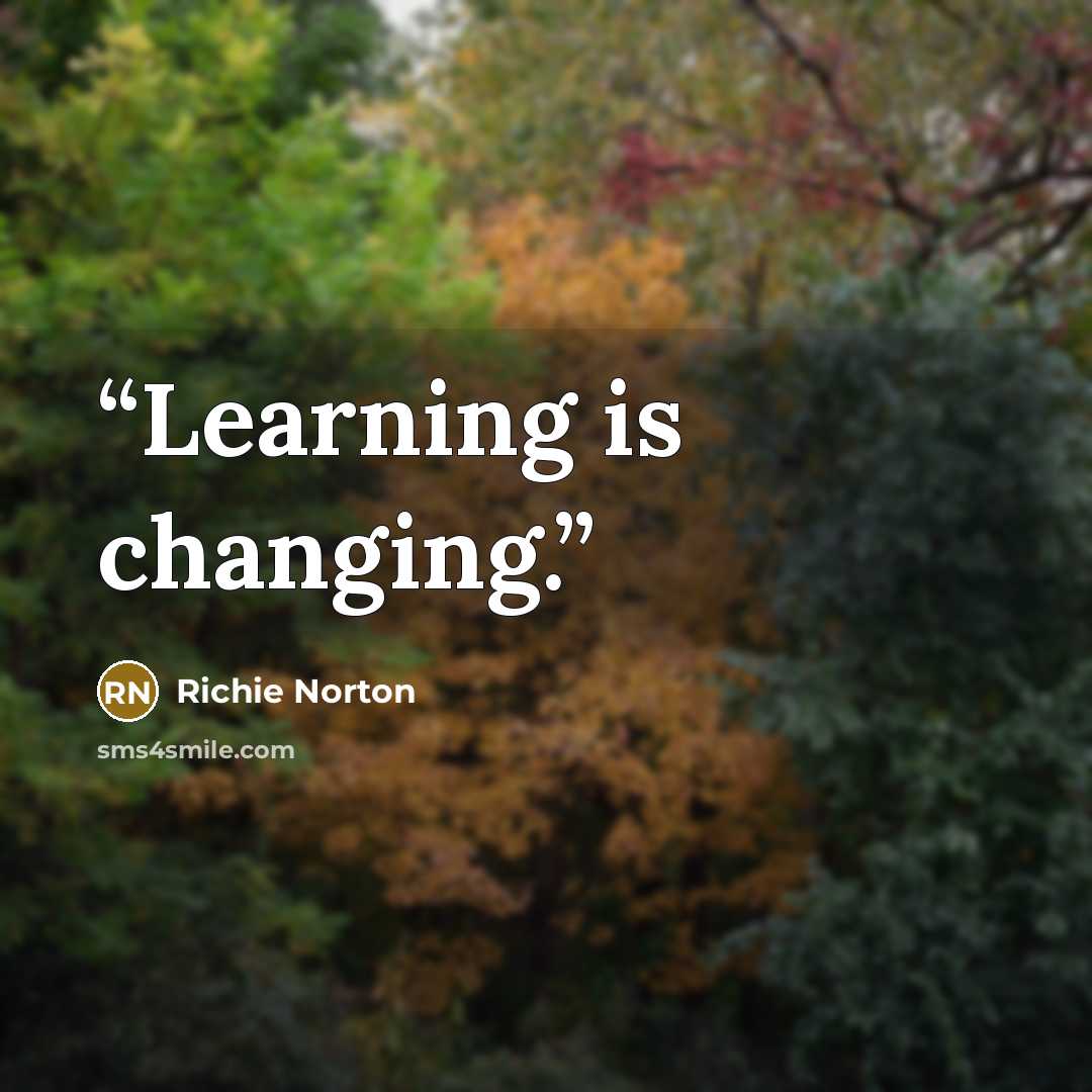 “Learning is changing.” quote by Richie Norton