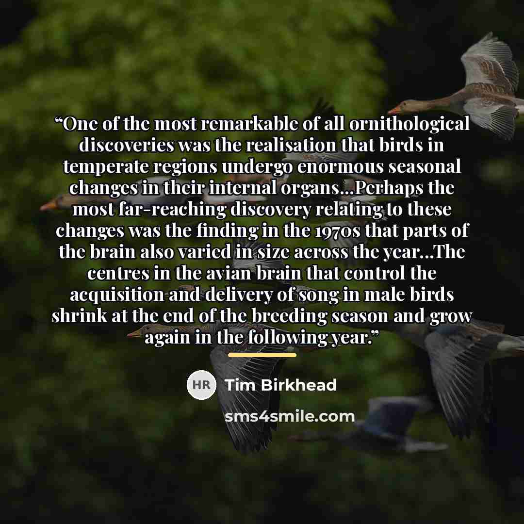 “One of the most remarkable of all ornithological discoveries was the realisation that birds in temperate regions undergo enormous seasonal changes in their internal organs...Perhaps the most far-reaching discovery relating to these changes was the finding in the 1970s that parts of the brain also…” quote by Tim Birkhead