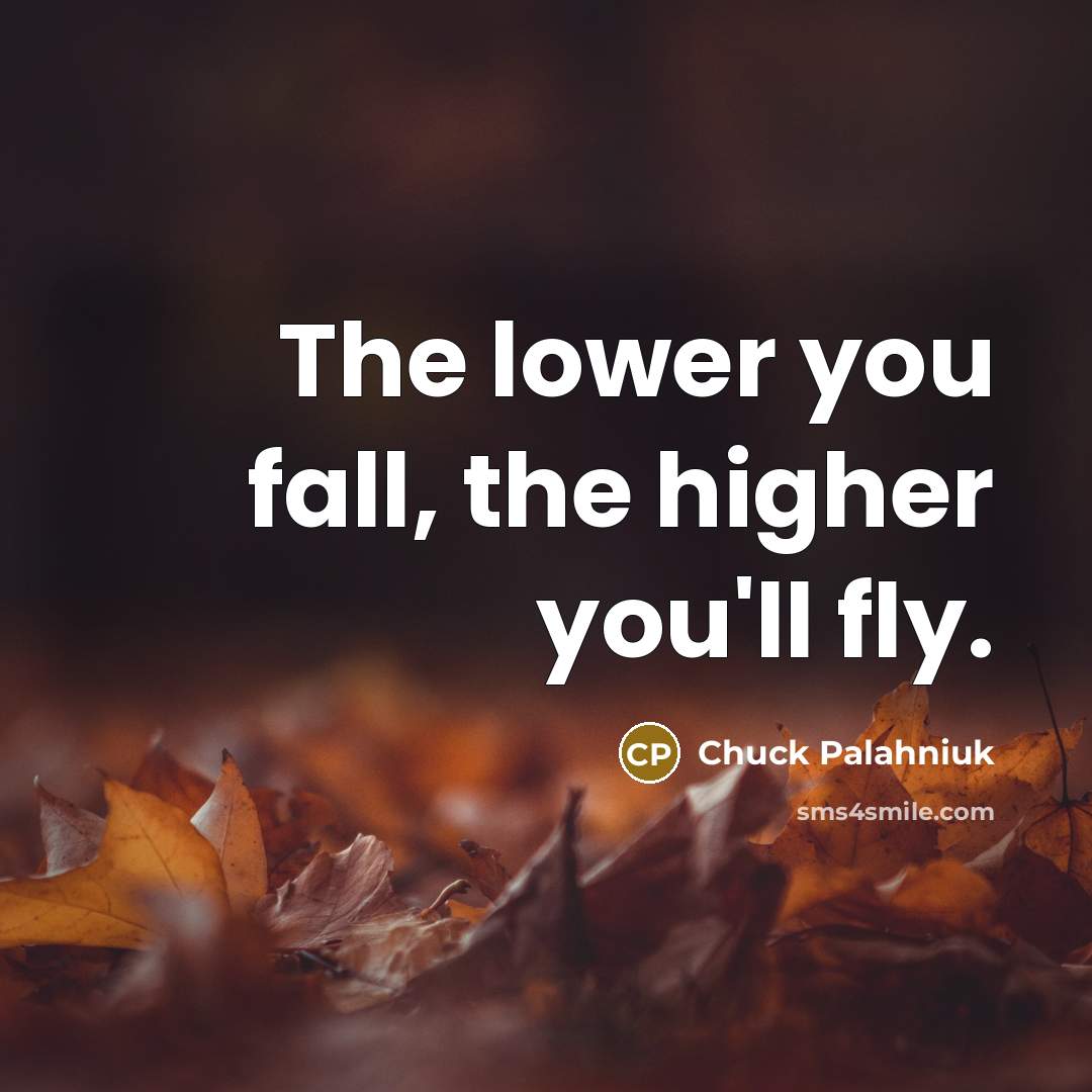 “The lower you fall, the higher you'll fly.” quote by Chuck Palahniuk