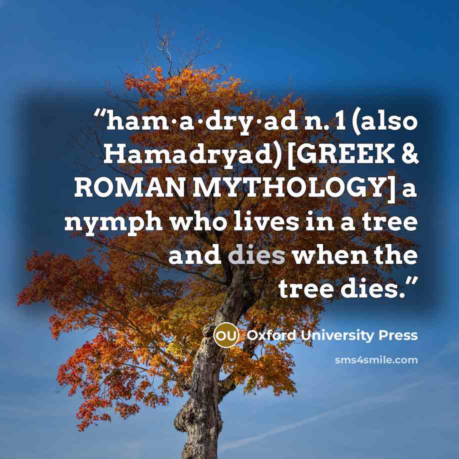 “ham·a·dry·ad n. 1 (also Hamadryad) [GREEK & ROMAN MYTHOLOGY] a nymph who lives in a tree and dies when the tree dies.” quote by Oxford University Press