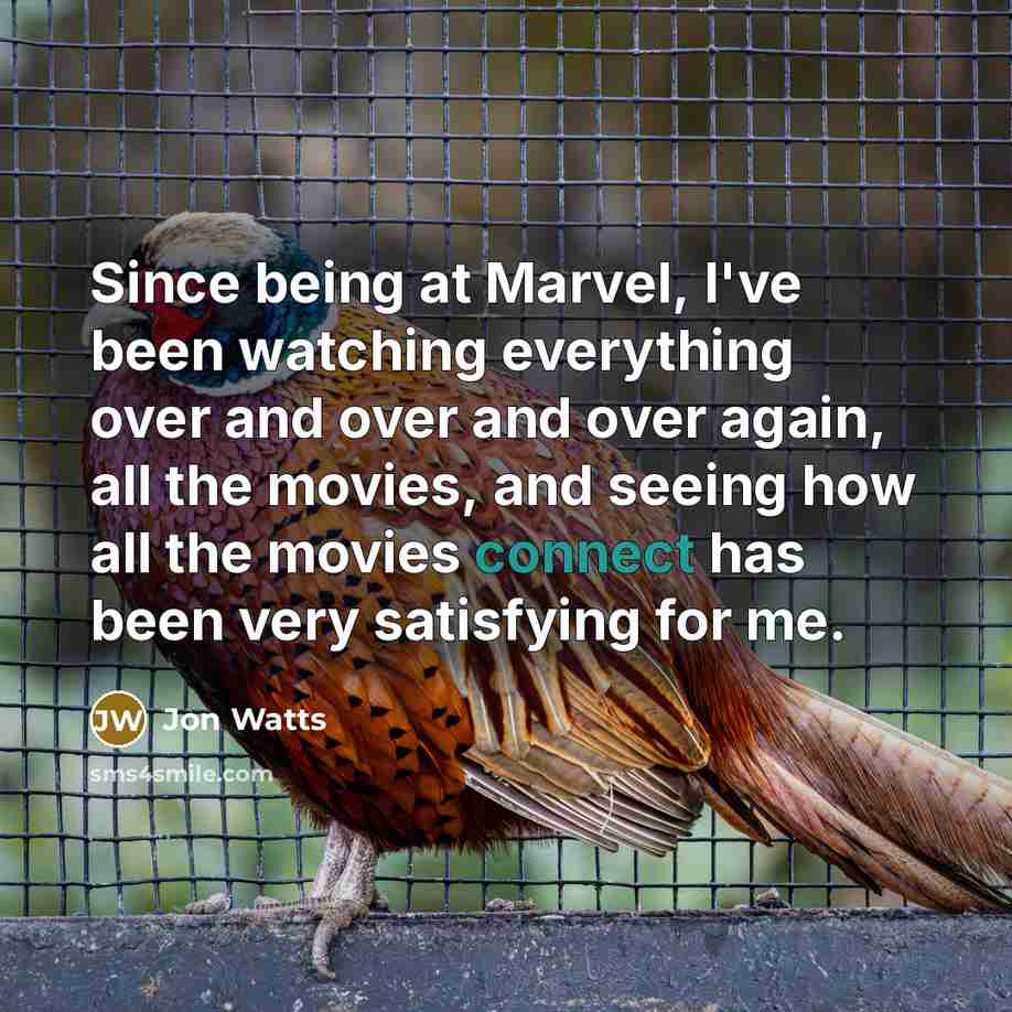 “Since being at Marvel, I've been watching everything over and over and over again, all the movies, and seeing how all the movies connect has been very satisfying for me.” quote by Jon Watts