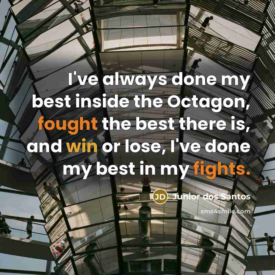 “I've always done my best inside the Octagon, fought the best there is, and win or lose, I've done my best in my fights.” quote by Junior dos Santos