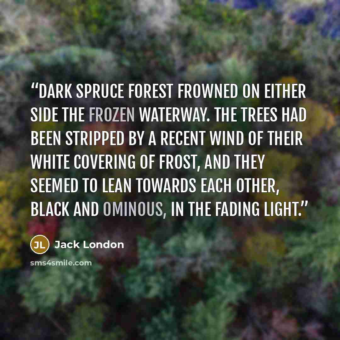 “Dark spruce forest frowned on either side the frozen waterway. The trees had been stripped by a recent wind of their white covering of frost, and they seemed to lean towards each other, black and ominous, in the fading light.” quote by Jack London