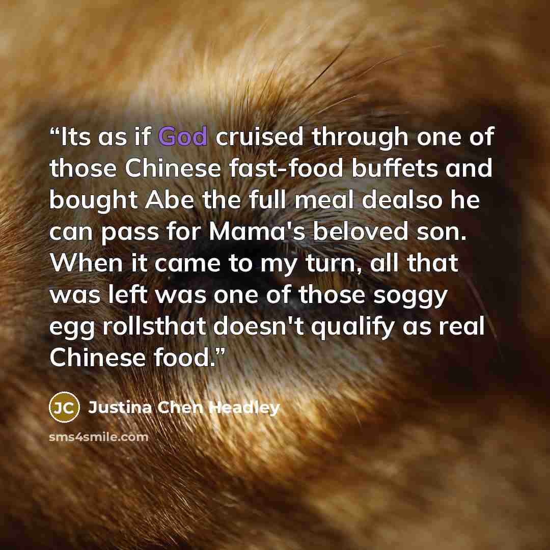 “Its as if God cruised through one of those Chinese fast-food buffets and bought Abe the full meal dealso he can pass for Mama's beloved son. When it came to my turn, all that was left was one of those soggy egg rollsthat doesn't qualify as real Chinese food.” quote by Justina Chen Headley