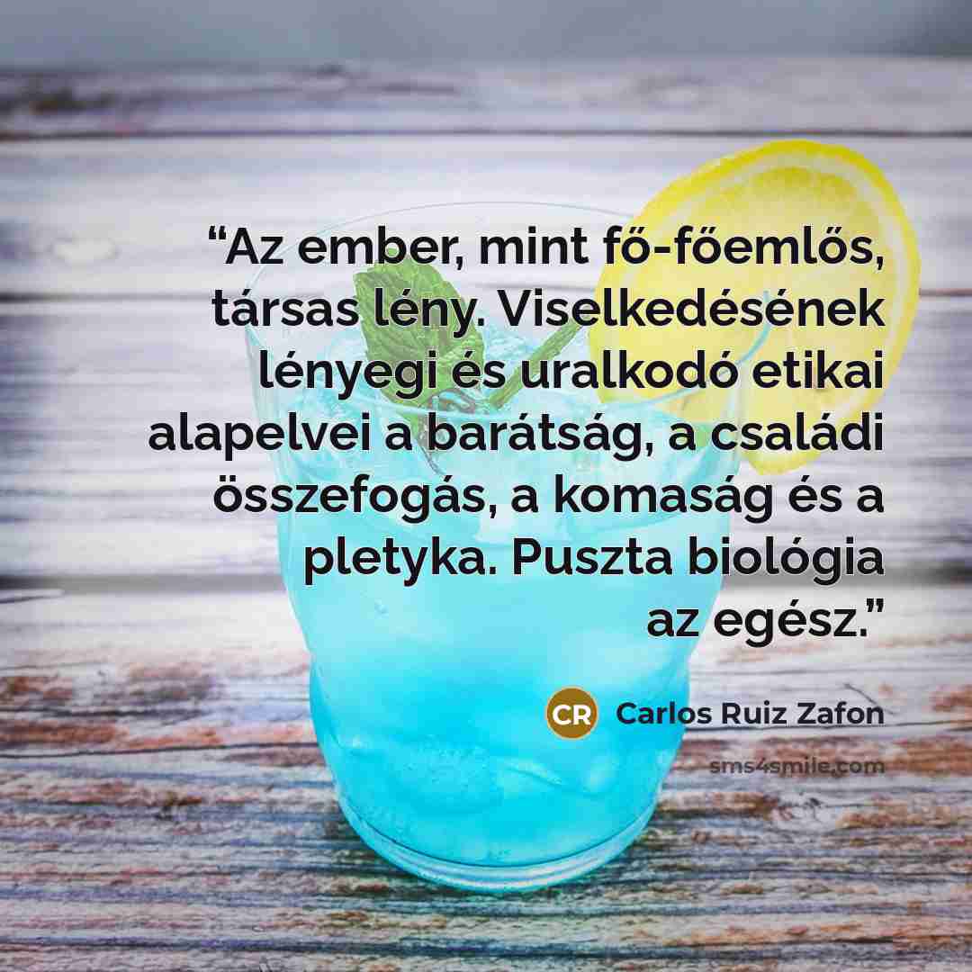 “Az ember, mint fő-főemlős, társas lény. Viselkedésének lényegi és uralkodó etikai alapelvei a barátság, a családi összefogás, a komaság és a pletyka. Puszta biológia az egész.” quote by Carlos Ruiz Zafón