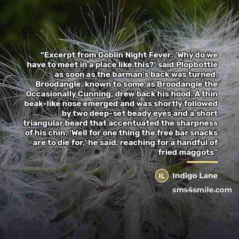 “Excerpt from Goblin Night Fever: ‘Why do we have to meet in a place like this?’ said Plopbottle as soon as the barman’s back was turned. Broodangle, known to some as Broodangle the Occasionally Cunning, drew back his hood. A thin beak-like nose emerged and was shortly followed by two deep-set…” quote by Indigo Lane