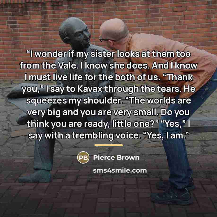 “I wonder if my sister looks at them too from the Vale. I know she does. And I know I must live life for the both of us. “Thank you,” I say to Kavax through the tears. He squeezes my shoulder. “The worlds are very big and you are very small. Do you think you are ready, little one?” “Yes,” I say…” quote by Pierce Brown