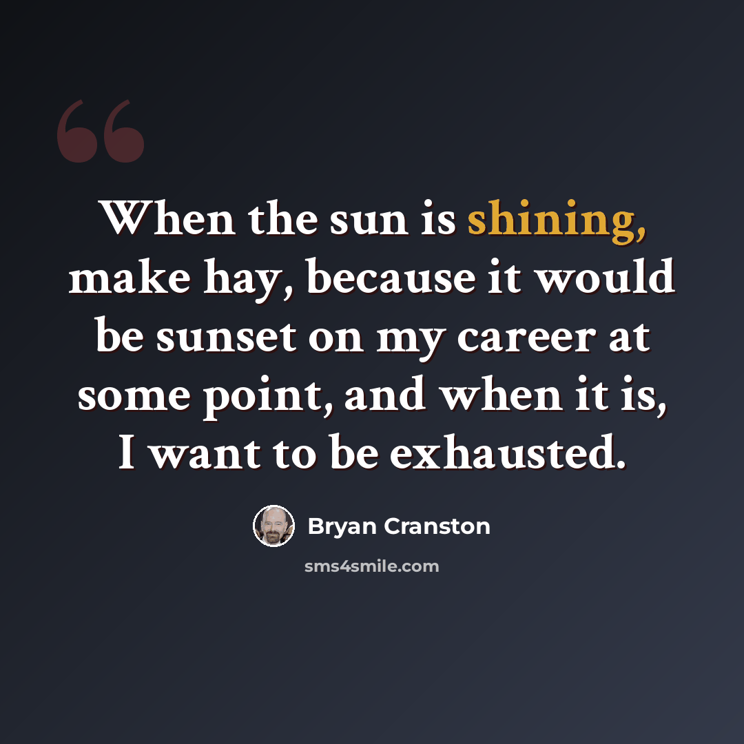 “When the sun is shining, make hay, because it would be sunset on my career at some point, and when it is, I want to be exhausted.” quote by Bryan Cranston