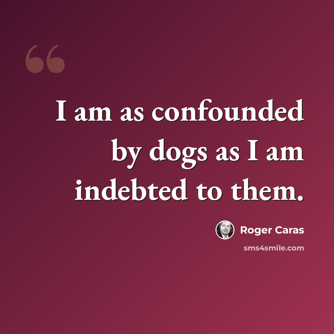 “I am as confounded by dogs as I am indebted to them.” quote by Roger Caras