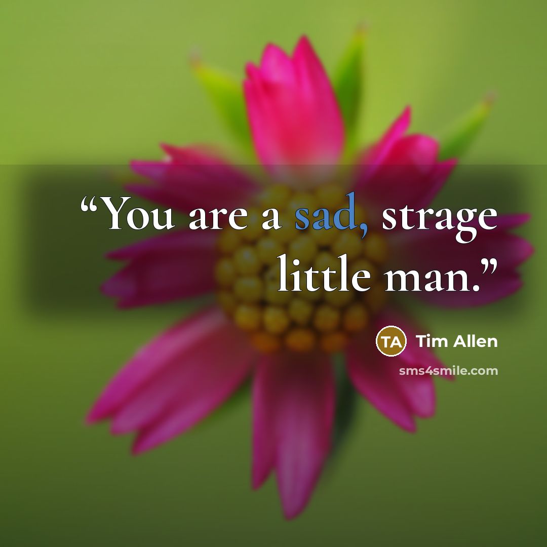 “You are a sad, strage little man.” quote by Tim Allen