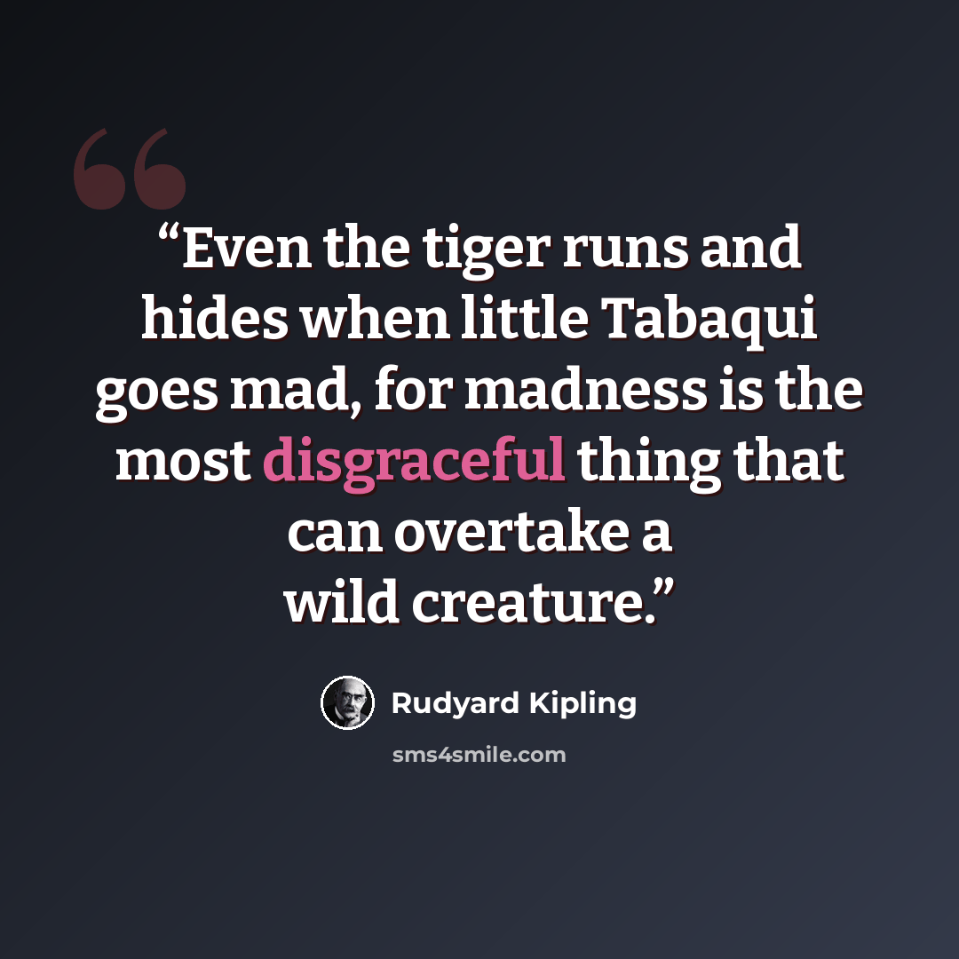 “Even the tiger runs and hides when little Tabaqui goes mad, for madness is the most disgraceful thing that can overtake a wild creature.” quote by Rudyard Kipling
