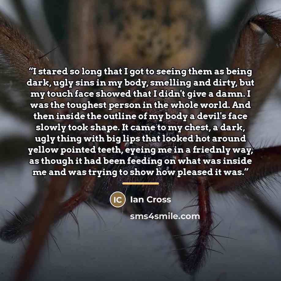 “I stared so long that I got to seeing them as being dark, ugly sins in my body, smelling and dirty, but my touch face showed that I didn't give a damn. I was the toughest person in the whole world. And then inside the outline of my body a devil's face slowly took shape. It came to my chest, a…” quote by Ian Cross