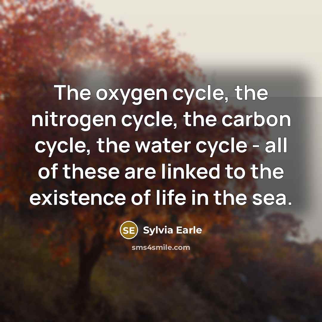 “The oxygen cycle, the nitrogen cycle, the carbon cycle, the water cycle - all of these are linked to the existence of life in the sea.” quote by Sylvia Earle