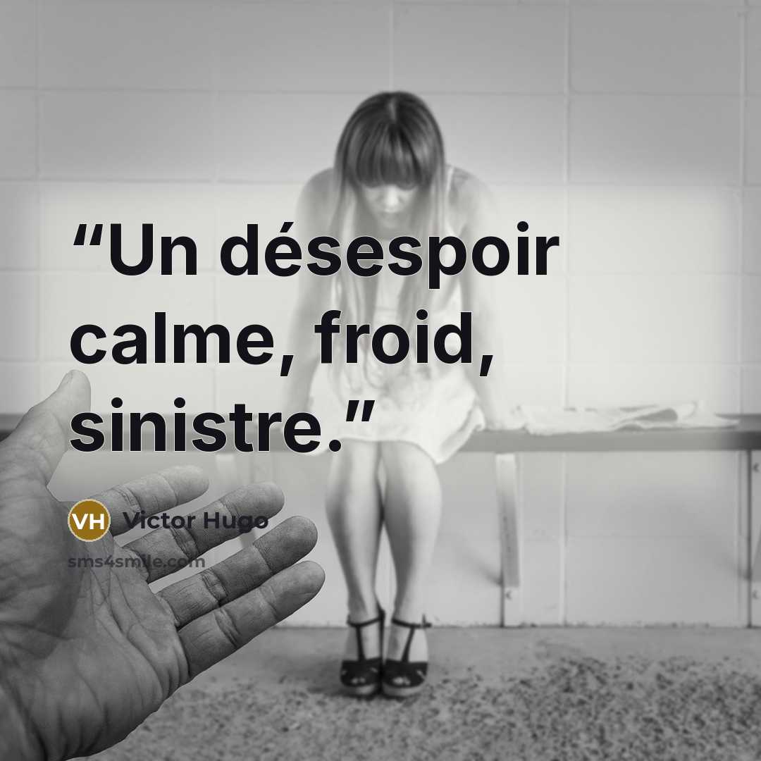 “Un désespoir calme, froid, sinistre.” quote by Victor Hugo