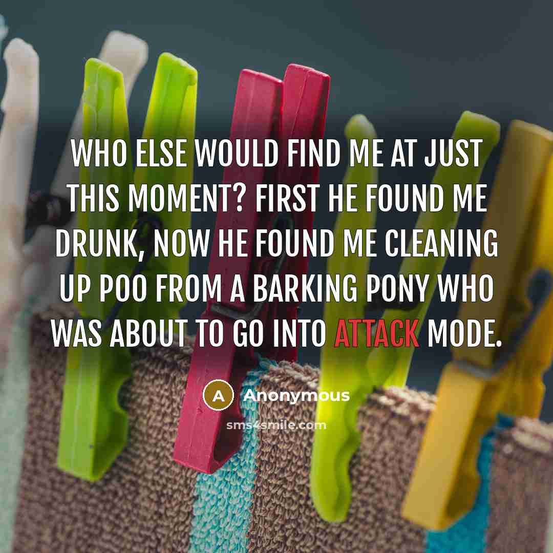 “Who else would find me at just this moment? First he found me drunk, now he found me cleaning up poo from a barking pony who was about to go into attack mode.” quote by Anonymous