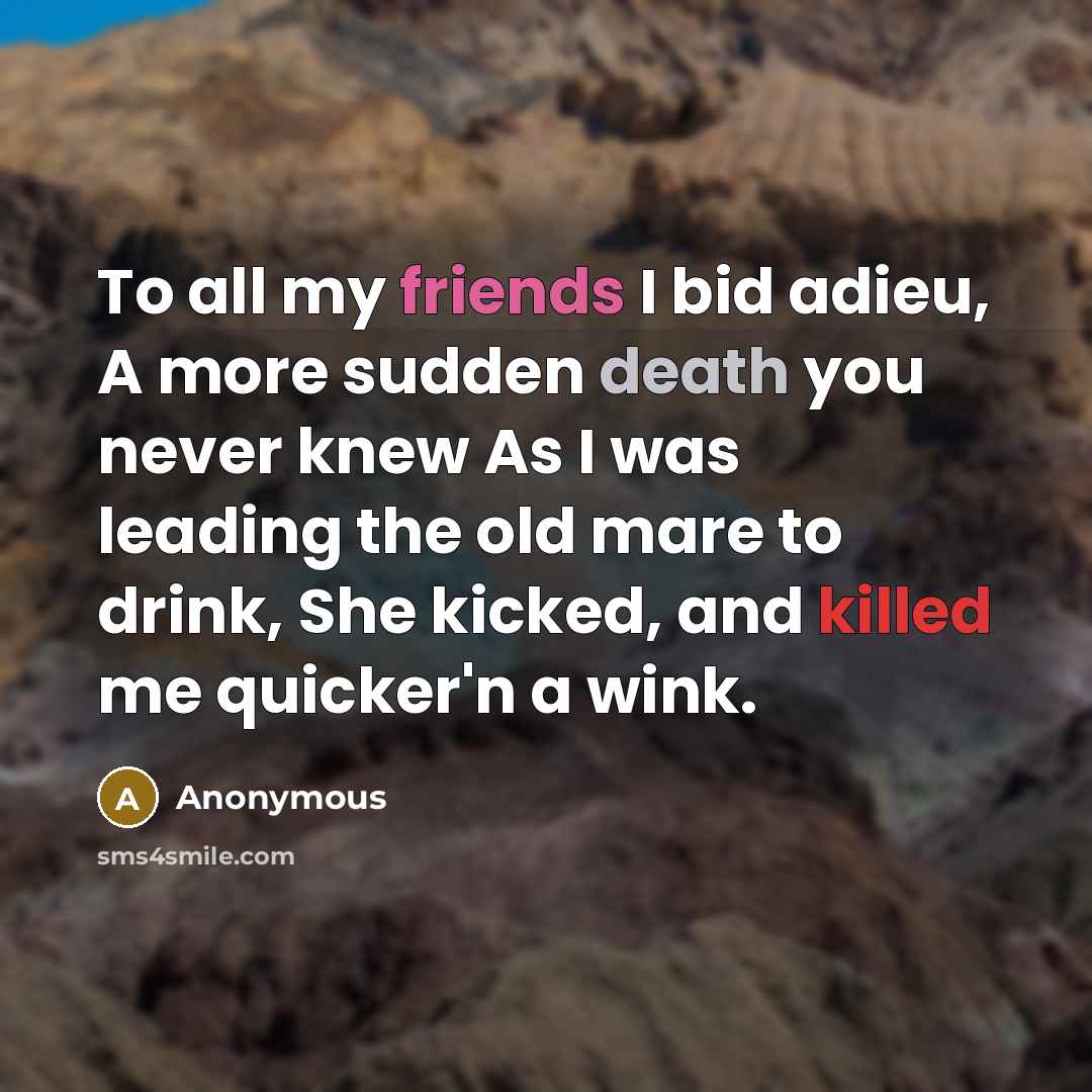 “To all my friends I bid adieu, A more sudden death you never knew As I was leading the old mare to drink, She kicked, and killed me quicker'n a wink.” quote by Anonymous