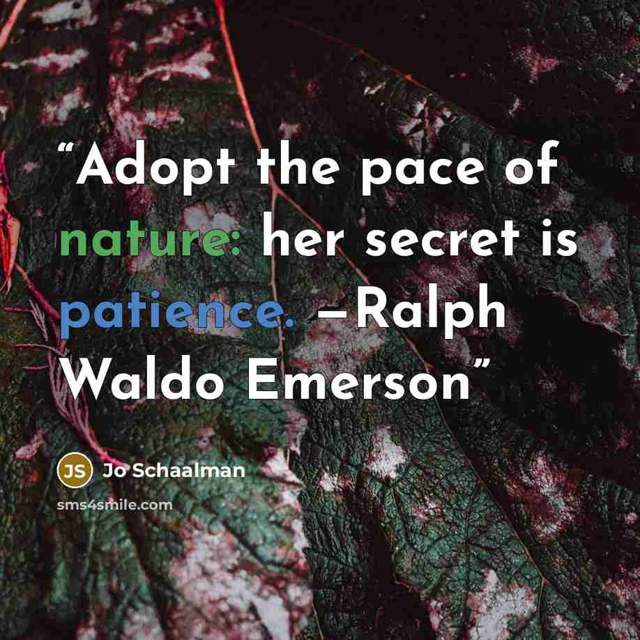 “Adopt the pace of nature: her secret is patience. —Ralph Waldo Emerson” quote by Jo Schaalman