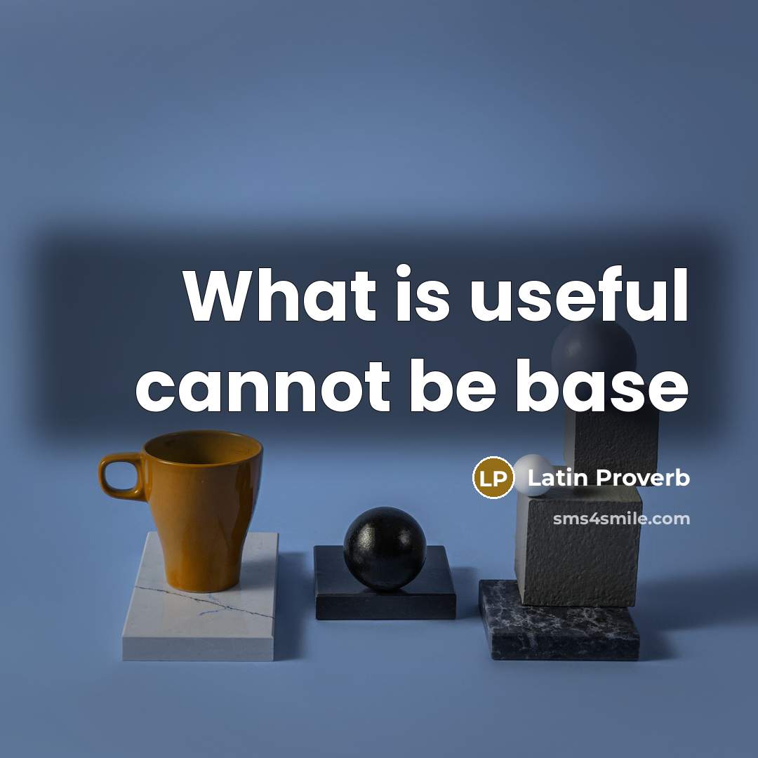 “What is useful cannot be base” quote by Latin Proverb