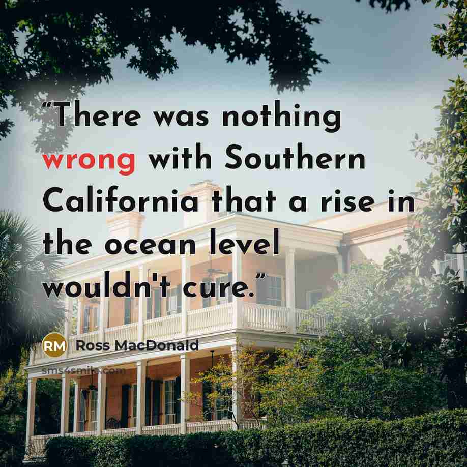 “There was nothing wrong with Southern California that a rise in the ocean level wouldn't cure.” quote by Ross Macdonald