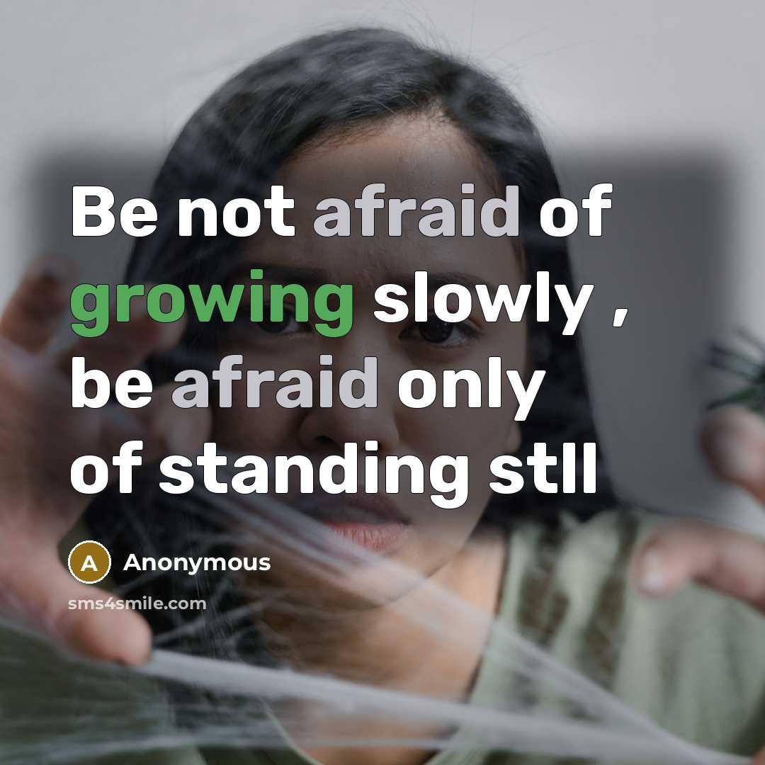 “Be not afraid of growing slowly , be afraid only of standing stll” quote by Anonymous