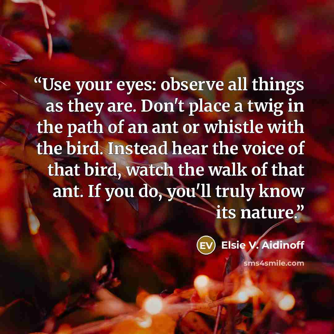 “Use your eyes: observe all things as they are. Don't place a twig in the path of an ant or whistle with the bird. Instead hear the voice of that bird, watch the walk of that ant. If you do, you'll truly know its nature.” quote by Elsie V. Aidinoff