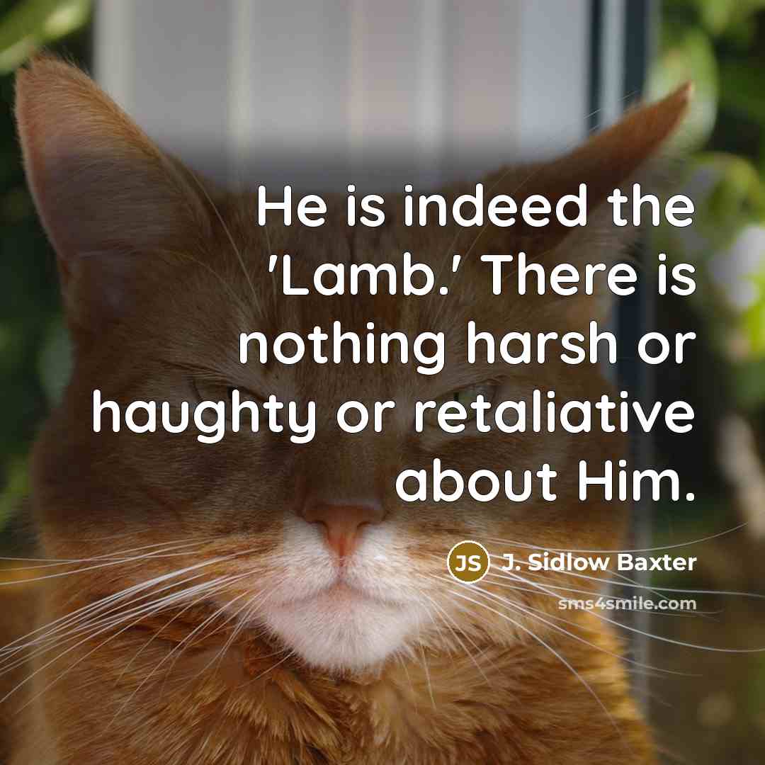 “He is indeed the 'Lamb.' There is nothing harsh or haughty or retaliative about Him.” quote by J. Sidlow Baxter