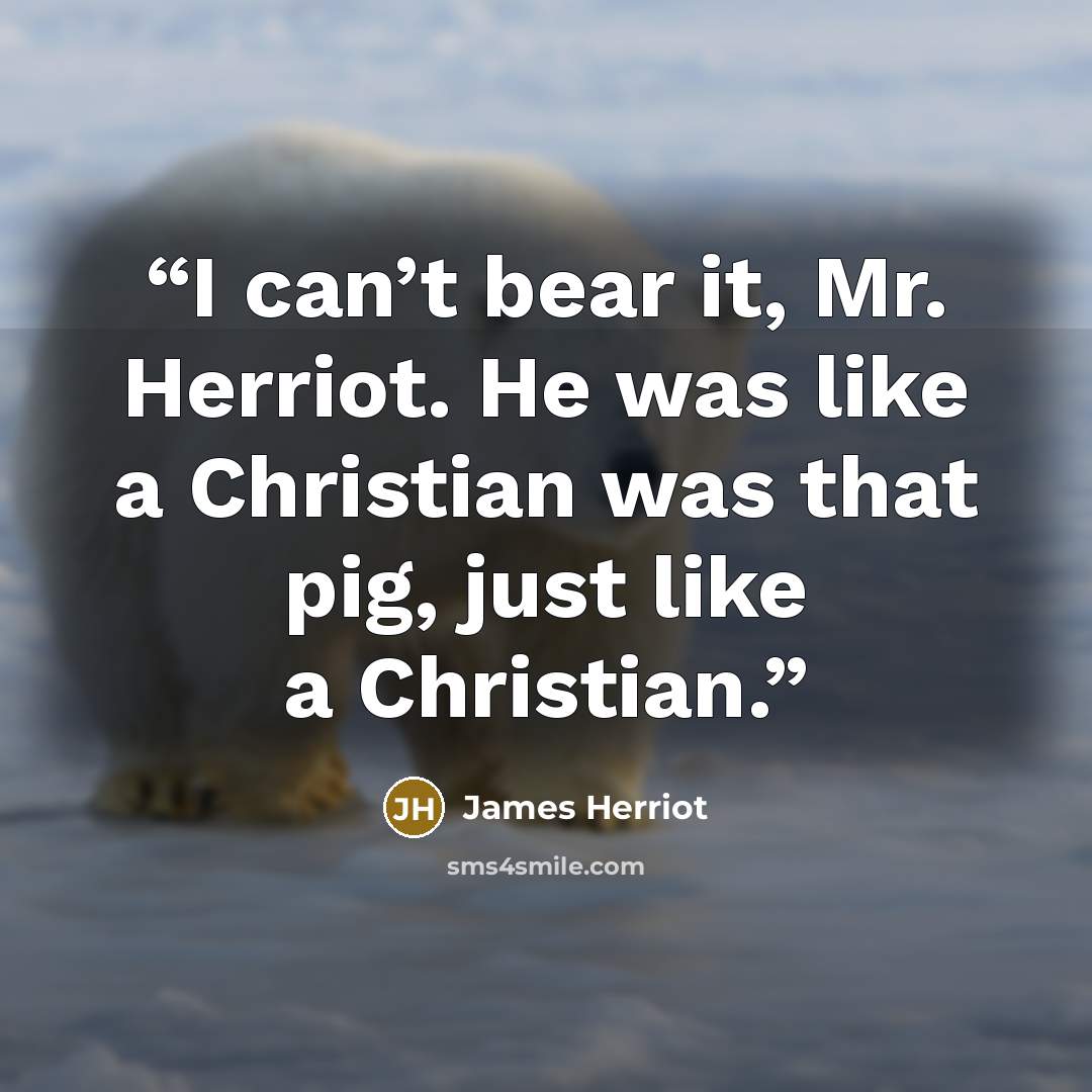 “I can’t bear it, Mr. Herriot. He was like a Christian was that pig, just like a Christian.” quote by James Herriot