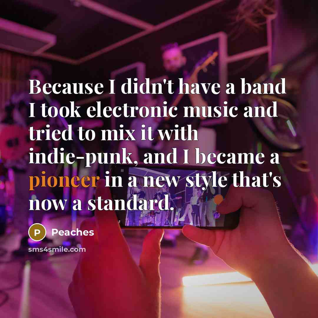 “Because I didn't have a band I took electronic music and tried to mix it with indie-punk, and I became a pioneer in a new style that's now a standard.” quote by Peaches