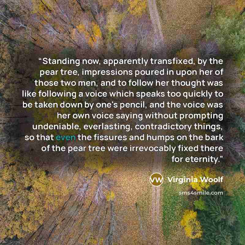 “Standing now, apparently transfixed, by the pear tree, impressions poured in upon her of those two men, and to follow her thought was like following a voice which speaks too quickly to be taken down by one's pencil, and the voice was her own voice saying without prompting undeniable, everlasting…” quote by Virginia Woolf