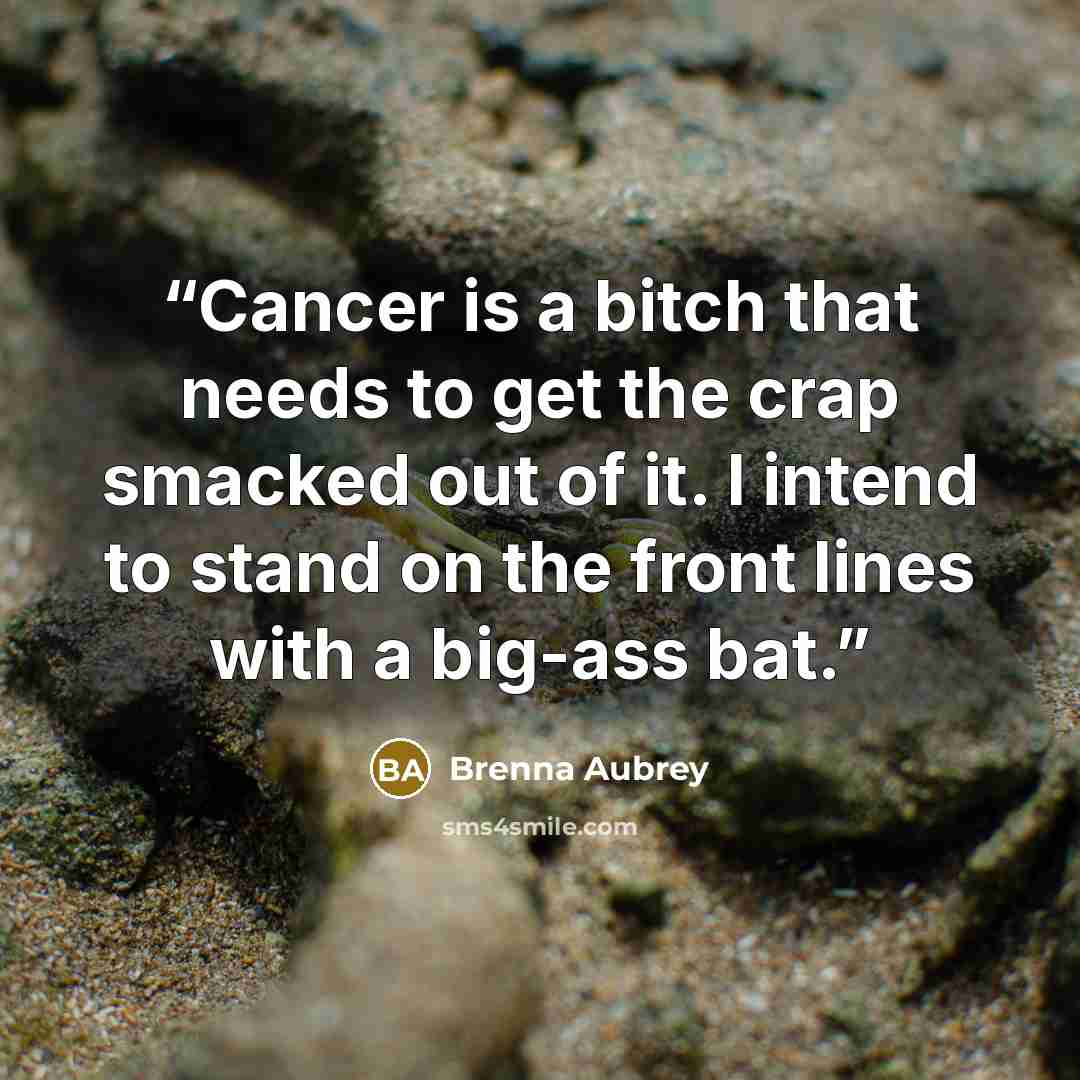 “Cancer is a bitch that needs to get the crap smacked out of it. I intend to stand on the front lines with a big-ass bat.” quote by Brenna Aubrey