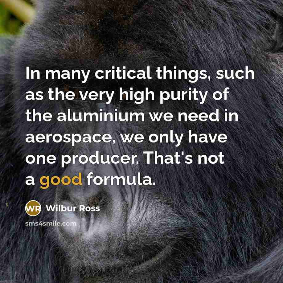 “In many critical things, such as the very high purity of the aluminium we need in aerospace, we only have one producer. That's not a good formula.” quote by Wilbur Ross