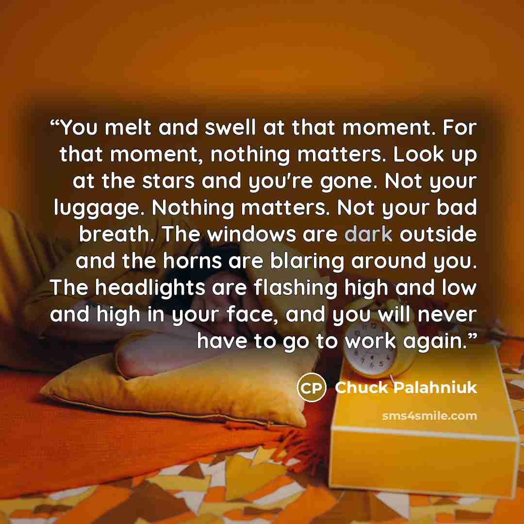 “You melt and swell at that moment. For that moment, nothing matters. Look up at the stars and you're gone. Not your luggage. Nothing matters. Not your bad breath. The windows are dark outside and the horns are blaring around you. The headlights are flashing high and low and high in your face, and…” quote by Chuck Palahniuk