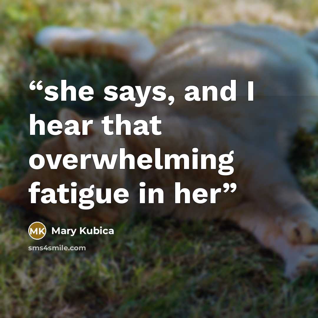 “she says, and I hear that overwhelming fatigue in her” quote by Mary Kubica