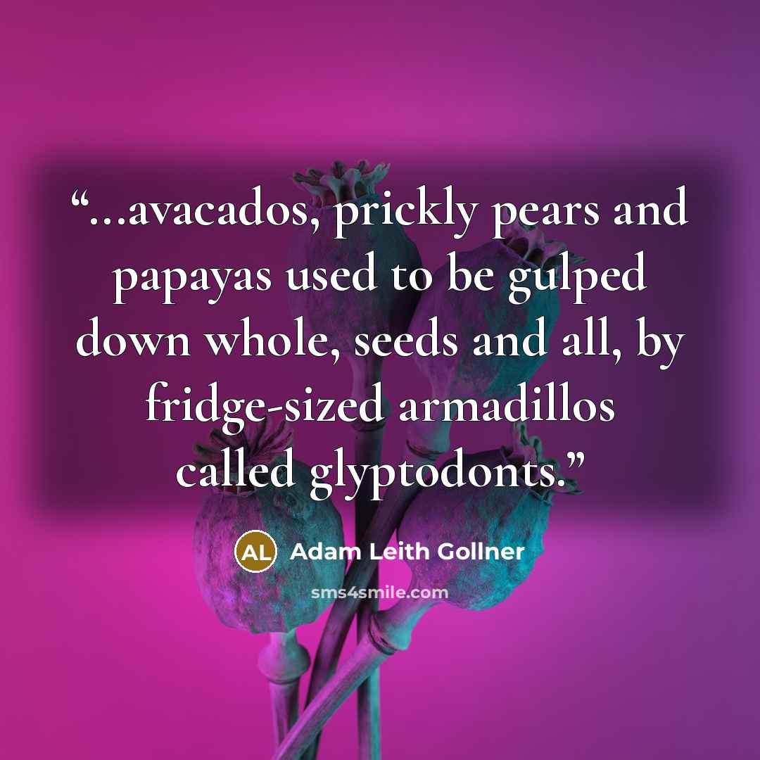 “...avacados, prickly pears and papayas used to be gulped down whole, seeds and all, by fridge-sized armadillos called glyptodonts.” quote by Adam Leith Gollner